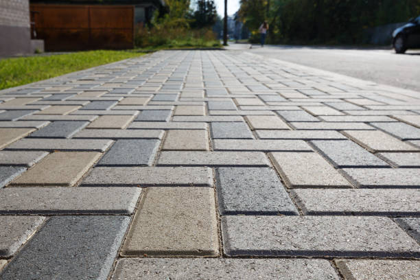 Best Driveway Paving Contractor  in Seneca, MO